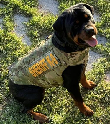 Cotton County Sheriff’s Office K9s Axle And Odin Have Received Donation Of Body Armor