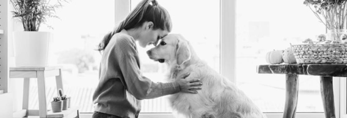 Pets play vital role in mental health