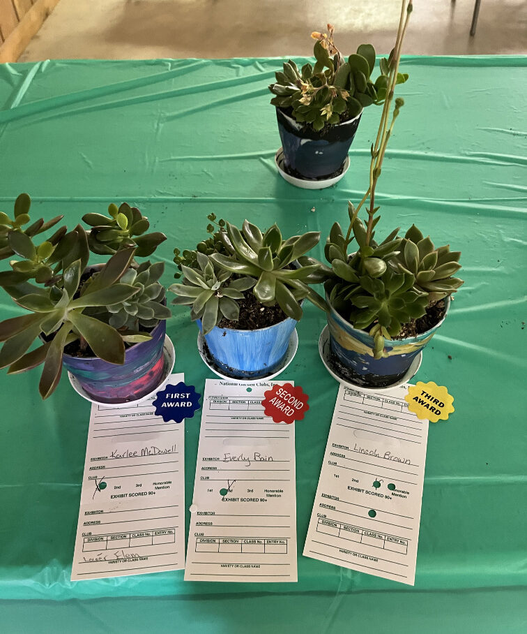 Succulent plants grown by 4H students on a green table cloth