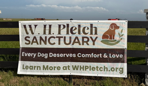 W.H. Pletch Senior Dog Sanctuary Earns 501(c)(3) Status, Opens Doors to Donations and Support