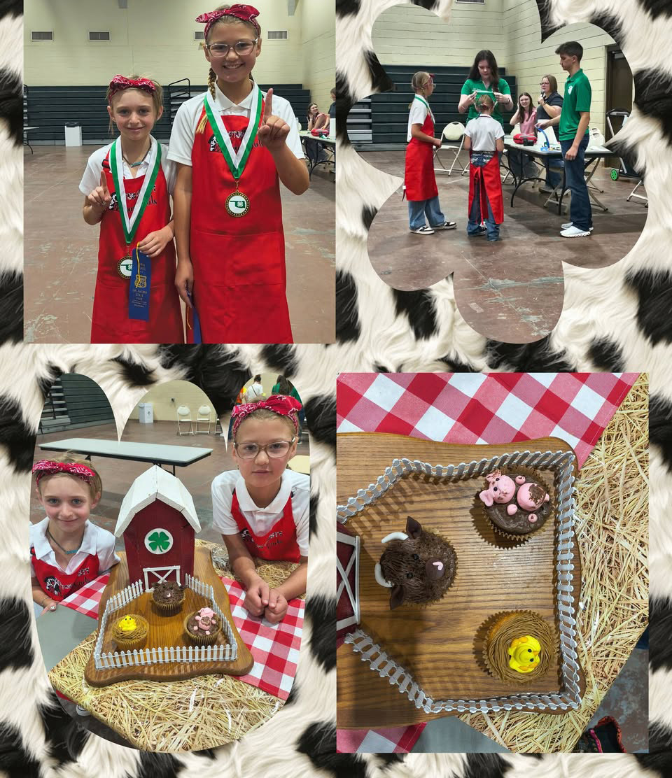 Cotton County 4-H Take First In Cupcake Wars